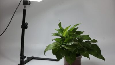 Produk Pixmix Lampu Video LED 11 Inch 3 Color