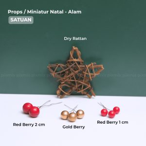 Props / Properti Foto Produk Hiasan Natal Alam - Gold Berry / Red Berry | Dekorasi Miniatur Christmas