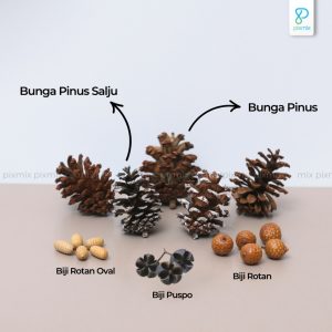 Bunga Pinus Kering / Bji Rotan / Biji Puspo / Biji Rustic - Properti Foto Pixmix