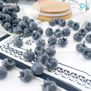 Props Properti Foto Produk Blueberry Artificial Buah Palsu Pixmix